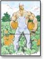 muscular redheaded farmer, no shirt and overalls, picking pumpkins in field